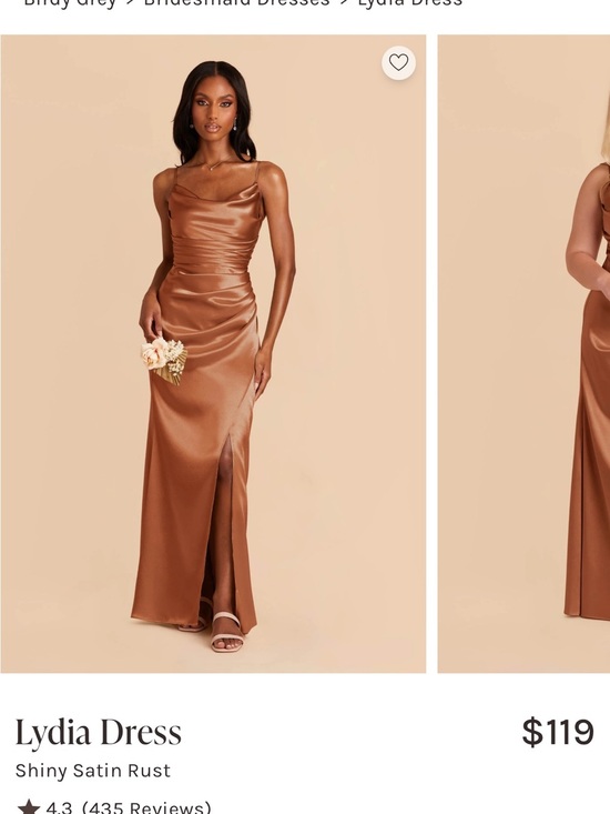 Birdy Grey Dresses & Skirts - Birdy Grey Lydia Dress in Shiny Satin Rust